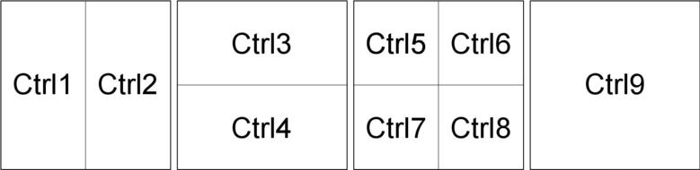 wingrid/ctrl1-9.jpg